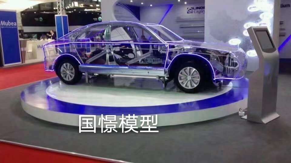 普洱透明车模型